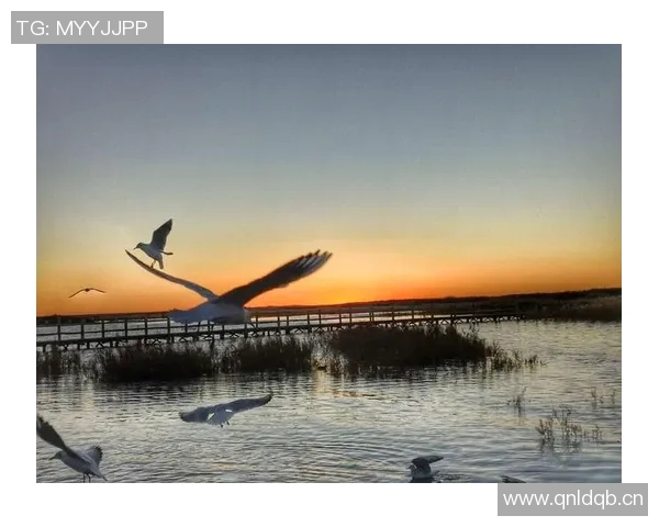 滑板人生的深度对话:杨磊与梦想的追逐与坚持 滑板人生的深度对话:杨磊与梦想的追逐与坚持